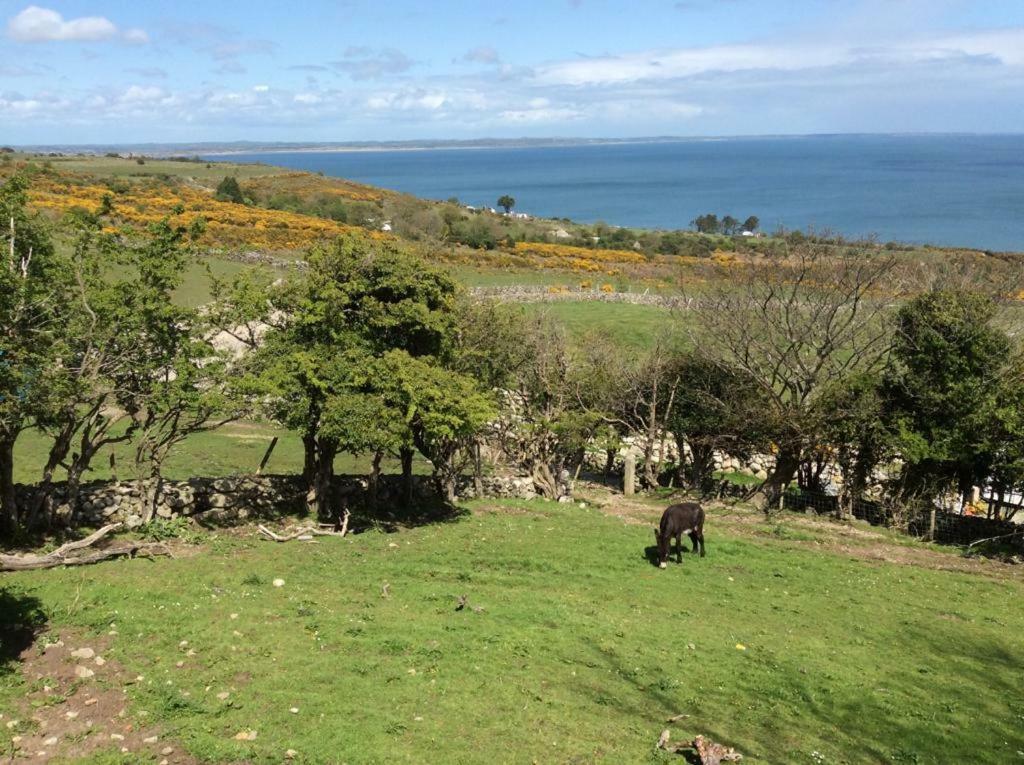 Stunning Views At Ballagh Cottage Newcastle นิวคาสเซิล ภายนอก รูปภาพ